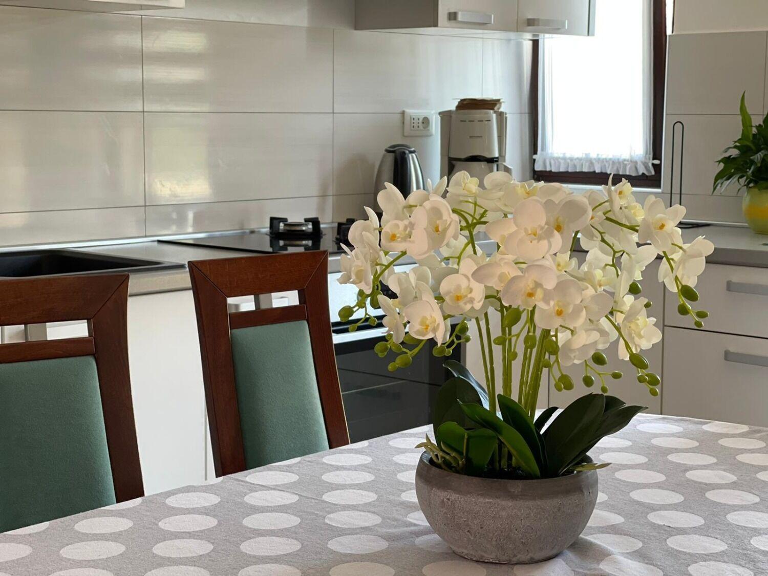 רוגוזניצה Apartment Bilja מראה חיצוני תמונה