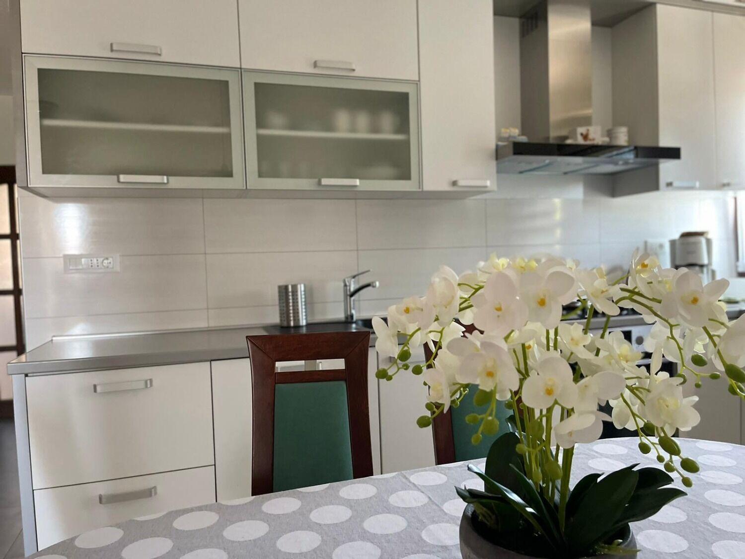 רוגוזניצה Apartment Bilja מראה חיצוני תמונה